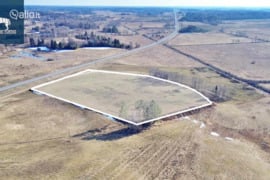 245.48 a sklypas Molėtų r. sav., Mažeikiai