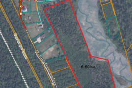 Parduodamas 6,6 ha Miško ūkio paskirties sklypas Šiaulių r., Bubiuose