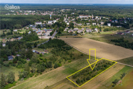 30 a sklypas Trakų r. sav., Rūdiškės