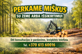 Perkame mišką su žeme arba išsikirtimui