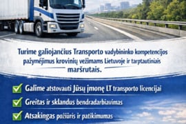Transporto vadybininkas