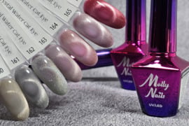 Magnetinis gelinis lakas nagams Cat Eye Molly
