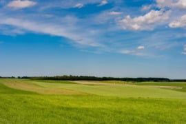 Nuomojama žemės ūkio paskirties žemė