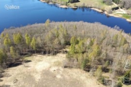 384.0 a sklypas Anykščių r. sav., Palukniai