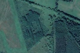 720 a sklypas Tauragės r. sav., Šakvietis