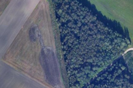 Parduodamas 4,3 ha žemės sklypas Šiaulių r. sav., Kairių sen., Ilgosios Lovos k. 