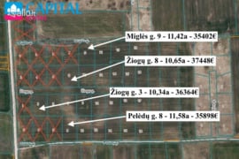 11.42 a sklypas Kauno r. sav., Ražiai