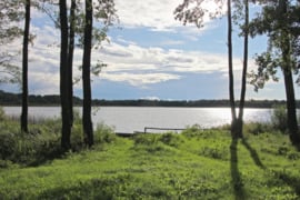 Su pakrante prie Suosos ežero parduodamas išskirtinis 6,67 ha sklypas Anykščių rajone.
