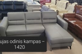 Naujas odinis miegamas kampas