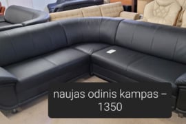 Nauji Odiniai kampai is vokietijos Aleks Baldai