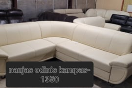 Naujas miegamas odinis kampas su patalynes deze