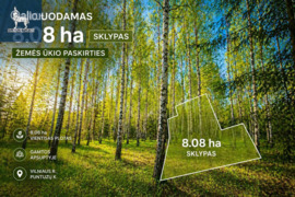 808.0 a sklypas Vilniaus r. sav., Puntuzai