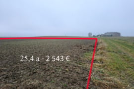 Sklypas Grūšlaukės kaime 25.4 arų ploto