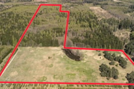 Sklypai Kuniginės kaime 565.42 ir 252.46 arų ploto