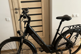 Elektrinis dviratis Ecobike X-Cross L/19