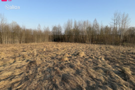 13.25 a sklypas Vilniaus r. sav.