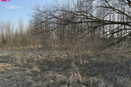 12.75 a sklypas Vilniaus r. sav.