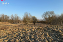 10.05 a sklypas Vilniaus r. sav.