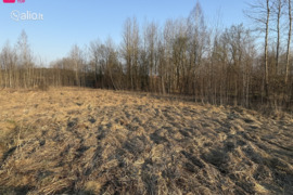 13.25 a sklypas Vilniaus r. sav.