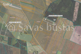 606 a sklypas Pakruojo r. sav.