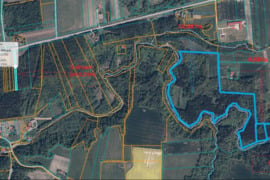 Kretingos r. sav., Gintarų k., miškų ūkio paskirties sklypai