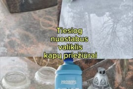 Universalus valiklis