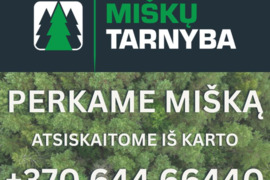 Nuo 6 a iki 1000 a sklypą, Panevėžys