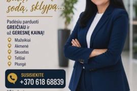 PADĖSIU PARDUOTI JŪSŲ BŪSTĄ GREITAI-SAUGIAI IR UŽ GERIAUSIĄ KAINĄ