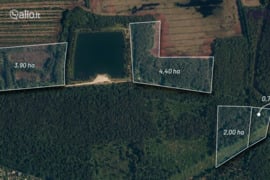 1100.0 a sklypas Klaipėdos r. sav., Dauparai
