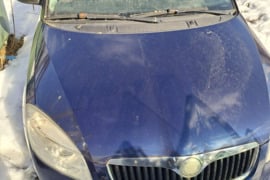 Skoda Roomster