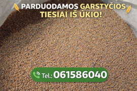 Garstyčios
