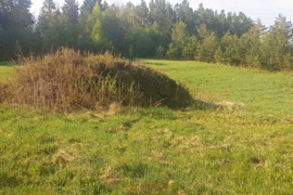 Atiduodu dupres