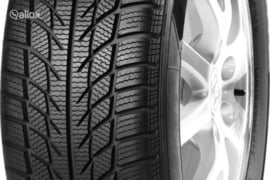Goodride SW608 205/55R16 91H, Žieminės padangos