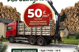 Beržas 50 €* malkos rąstais rasteliais