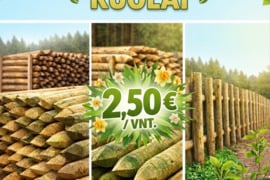 Mediniai kuolai