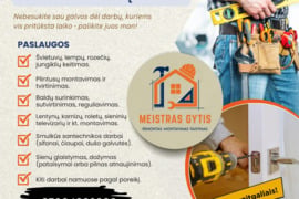 Meistras į namus