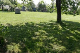 6 a sodo sklypas Panevėžio r. sav., Janališkių k.,