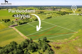 61.35 a sklypas Vilniaus r. sav., Verbuškės