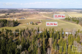 2259.0 a sklypas Panevėžio r. sav., Tutiškiai