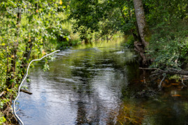 73.76 a sklypas Širvintų r. sav., Viršuliškiai, Viršuliškių g.