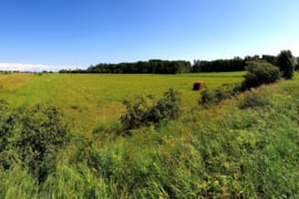 27 a sklypas Klaipėdos r. sav., Letūkai