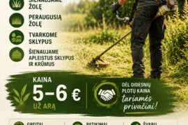 Žoles pjovimas
