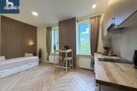 1 kamb. butas Vilnius, Naujamiestis, Švitrigailos g.