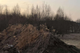Priimu didelį kiekį zemes. Be statybinių šiukšlių.Ringaudai
