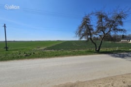 Šiaulių r. sav., Mikailaičiai