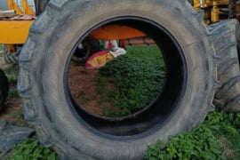 Continental 650/65 R42 padangos 2 vnt.