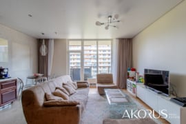 AKORUS.LT – ERDVUS BUTAS MIESTE, GAMTOS APSUPTYJE