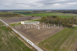 241.34 a sklypas Pakruojo r. sav.