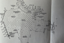 22.6ha žemės valdos sklypas Alytaus rajone, Miklusėnų k.