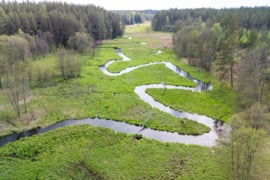 Arduodamas namų valdos sklypas unikaliame Marcinkonių kaime